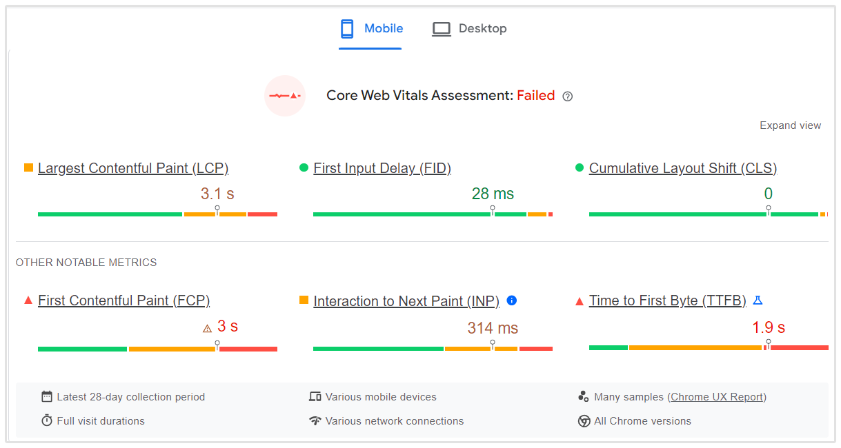 Exemple de Google Page Speed Insights